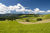 Schwarzwald